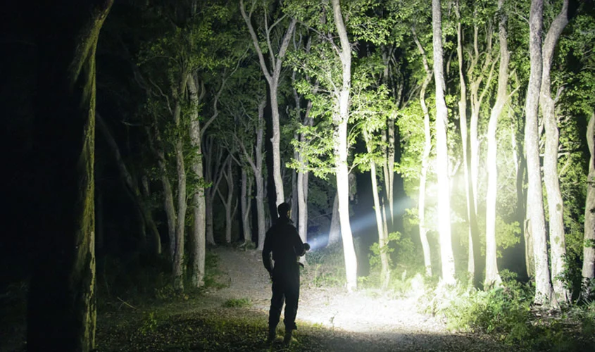 검색을위한 야외 조명