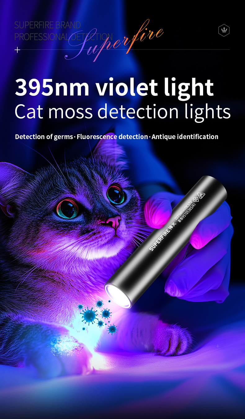 logo-flashlights-001.jpg logo-flashlights-001.jpg